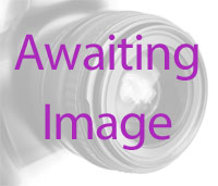 Halloween at Kent Life